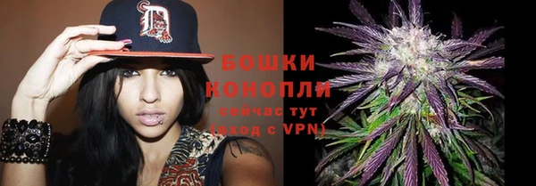 МДПВ Михайловск