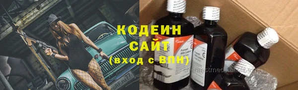 ГАЛЛЮЦИНОГЕННЫЕ ГРИБЫ Михайлов