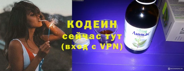 ГАЛЛЮЦИНОГЕННЫЕ ГРИБЫ Михайлов