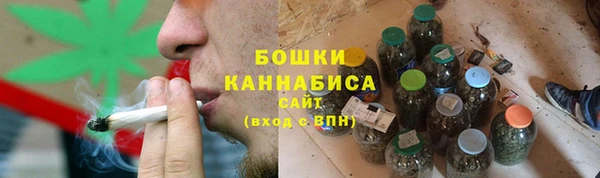 ГАЛЛЮЦИНОГЕННЫЕ ГРИБЫ Михайлов
