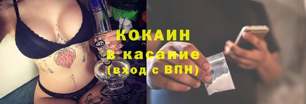 ГАЛЛЮЦИНОГЕННЫЕ ГРИБЫ Михайлов