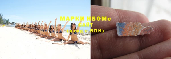ГАЛЛЮЦИНОГЕННЫЕ ГРИБЫ Михайлов