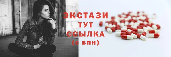 индика Богородицк