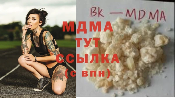 ГАЛЛЮЦИНОГЕННЫЕ ГРИБЫ Михайлов