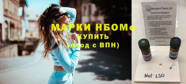 ГАЛЛЮЦИНОГЕННЫЕ ГРИБЫ Михайлов