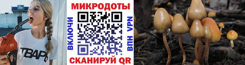 Псилоцибиновые грибы MAGIC MUSHROOMS  hydra маркетплейс  Красный Холм 